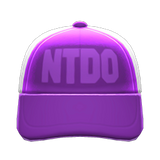 Mesh Cap