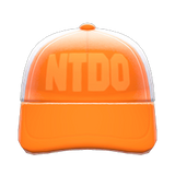 Mesh Cap