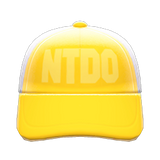 Mesh Cap