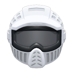 Paintball Mask
