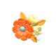 Orange Orange