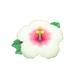 White White