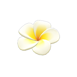 Plumeria Hairpin