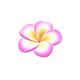 Pink Pink