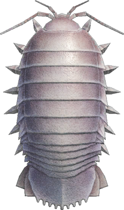Giant Isopod Animal Crossing New Horizons | ACNH Critter - ACNHMALL