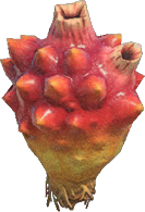 Sea Pineapple Animal Crossing New Horizons | ACNH Critter - ACNHMALL