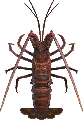 Spiny Lobster Animal Crossing New Horizons | ACNH Critter - ACNHMALL