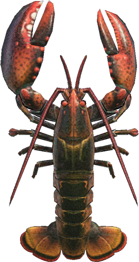 Lobster Animal Crossing New Horizons | ACNH Critter - ACNHMALL