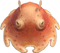 Umbrella Octopus Animal Crossing New Horizons | ACNH Critter - ACNHMALL