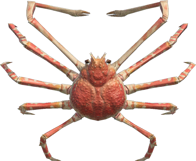 Spider Crab Animal Crossing New Horizons | ACNH Critter - ACNHMALL