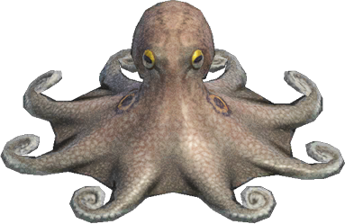 Octopus Animal Crossing New Horizons | ACNH Critter - ACNHMALL