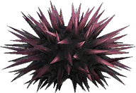 Sea Urchin Animal Crossing New Horizons | ACNH Critter - ACNHMALL