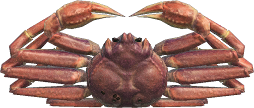 Snow Crab Animal Crossing New Horizons | ACNH Critter - ACNHMALL