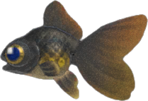 Pop-Eyed Goldfish Animal Crossing New Horizons | ACNH Critter - ACNHMALL