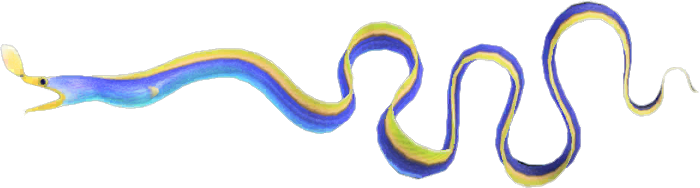 Ribbon Eel Animal Crossing New Horizons | ACNH Critter - ACNHMALL