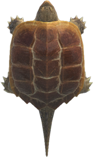 Snapping Turtle Animal Crossing New Horizons | ACNH Critter - ACNHMALL