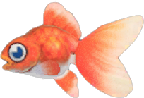 Goldfish Animal Crossing New Horizons | ACNH Critter - ACNHMALL