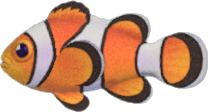 Clown Fish Animal Crossing New Horizons | ACNH Critter - ACNHMALL