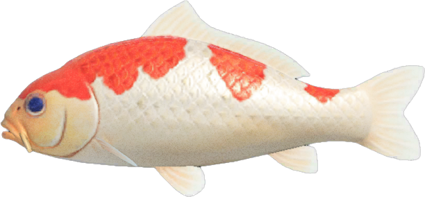 Koi Animal Crossing New Horizons | ACNH Critter - ACNHMALL