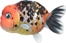 Ranchu Goldfish Animal Crossing New Horizons | ACNH Critter - ACNHMALL