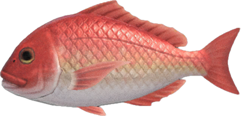 Red Snapper Animal Crossing New Horizons | ACNH Critter - ACNHMALL