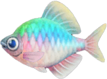 Bitterling Animal Crossing New Horizons | ACNH Critter - ACNHMALL