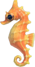 Sea Horse Animal Crossing New Horizons | ACNH Critter - ACNHMALL