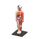 Anatomical Model Animal Crossing New Horizons | ACNH Critter - ACNHMALL
