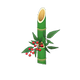 Green bamboo x NA