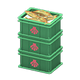 Green x Scallop