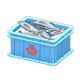 Light blue x Scallop