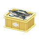 Yellow x Fish Yellow x Fish