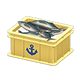 Yellow x Anchor Yellow x Anchor