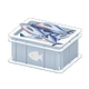 White x Fish