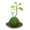 Moss Ball Animal Crossing New Horizons | ACNH Critter - ACNHMALL