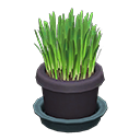 Cat Grass Animal Crossing New Horizons | ACNH Critter - ACNHMALL