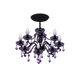Purple x NA Purple x NA
