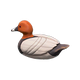 Common pochard x NA Common pochard x NA