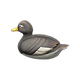 Steamer duck x NA