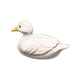 Duck x NA