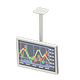 White x Currency exchange