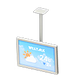 White x Weather forecast