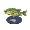 Black Bass Model Animal Crossing New Horizons | ACNH Critter - ACNHMALL