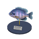 Bluegill Model Animal Crossing New Horizons | ACNH Critter - ACNHMALL