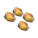 Mounted Butterfly Fish for Animal Crossing: New Horizons