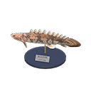 Saddled Bichir Model Animal Crossing New Horizons | ACNH Critter - ACNHMALL