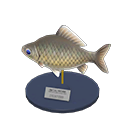 Crucian Carp Model Animal Crossing New Horizons | ACNH Critter - ACNHMALL