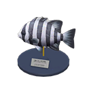 Barred Knifejaw Model Animal Crossing New Horizons | ACNH Critter - ACNHMALL
