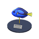 Surgeonfish Model Animal Crossing New Horizons | ACNH Critter - ACNHMALL