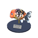 Ranchu Goldfish Model Animal Crossing New Horizons | ACNH Critter - ACNHMALL